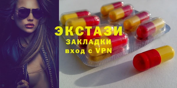 индика Тобольск