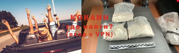 PSILOCYBIN Фёдоровский