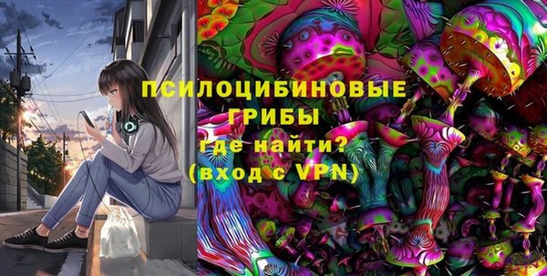 ПСИЛОЦИБИНОВЫЕ ГРИБЫ Наволоки
