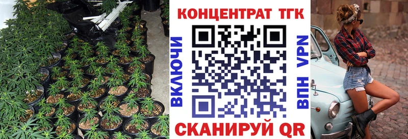 ТГК Wax  Оренбург 