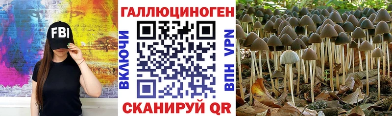 Галлюциногенные грибы мухоморы  купить   Оренбург 