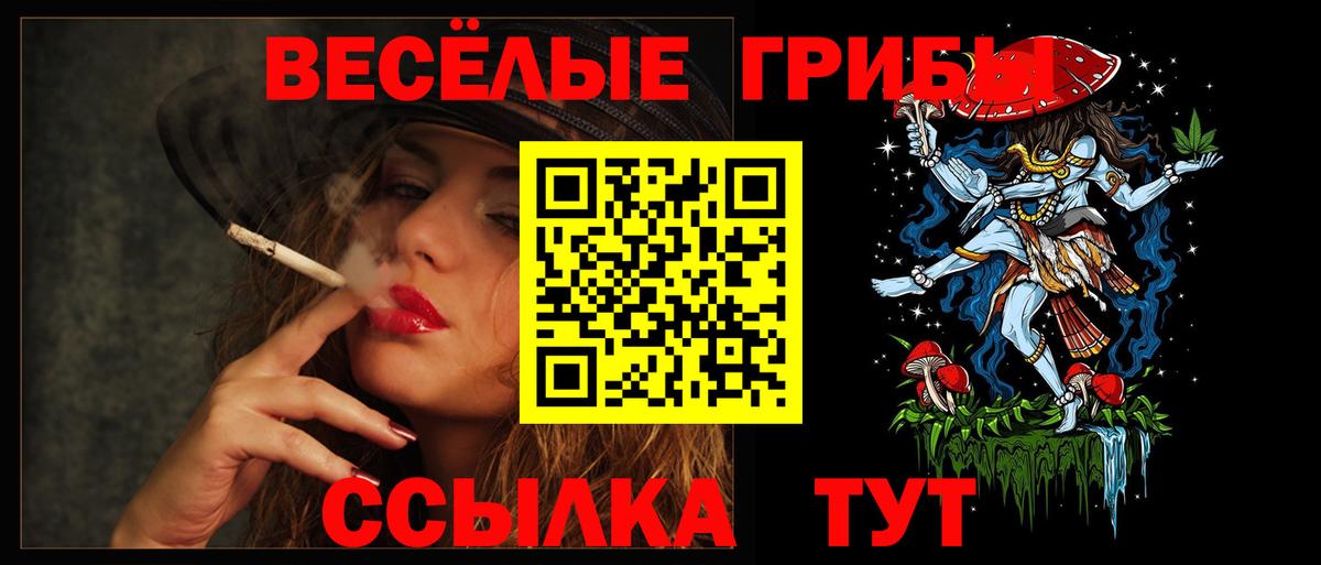 Псилоцибиновые грибы прущие грибы Оренбург