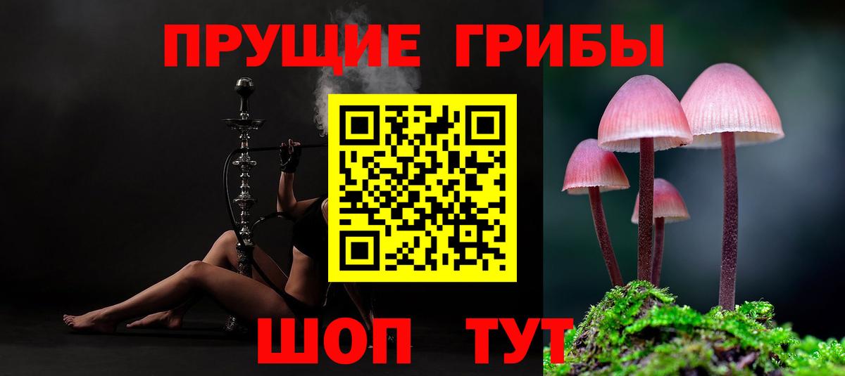Оренбург  Псилоцибиновые грибы Cubensis  Вход с VPN 