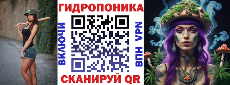 Конопля сатива Оренбург